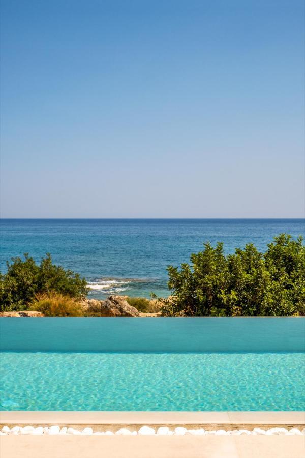 Salvia Luxury Collection *